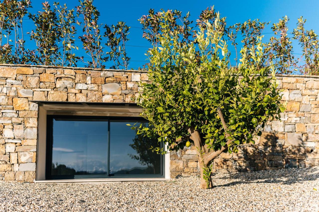 Villa Sabrina Riviera Dei Fiori A Picco Sul Mare Con Piscina Privata ,Wellness & Spa Империа Екстериор снимка